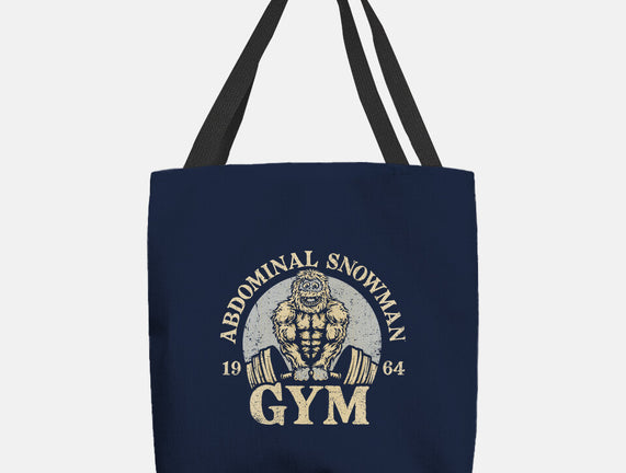 Abdominal Snowman Gym
