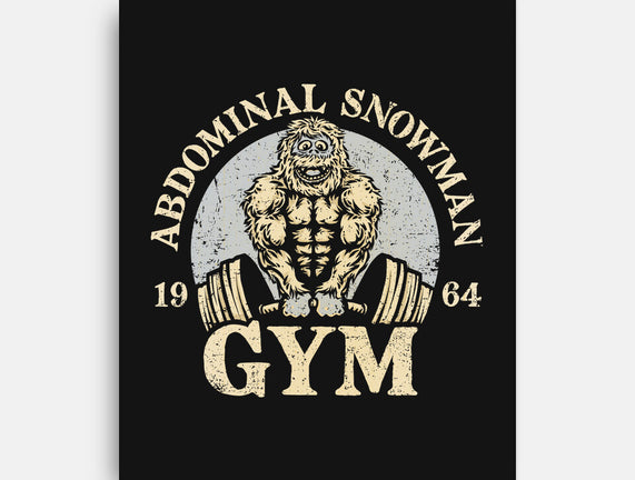 Abdominal Snowman Gym