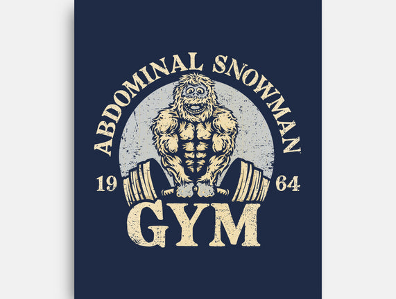 Abdominal Snowman Gym