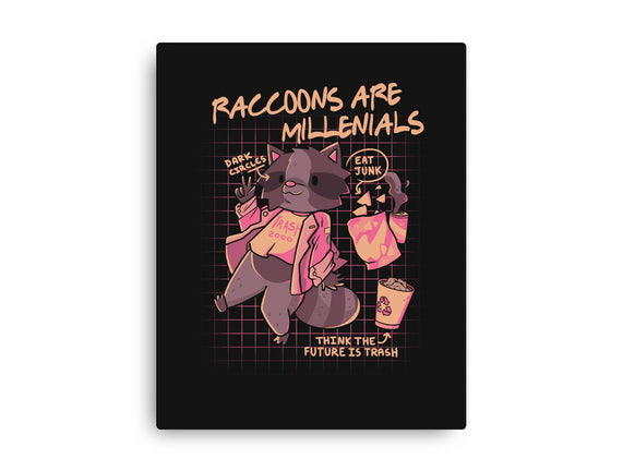 Raccons Millenials