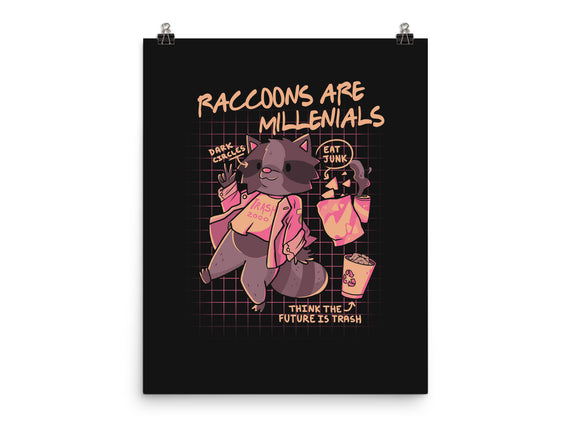 Raccons Millenials