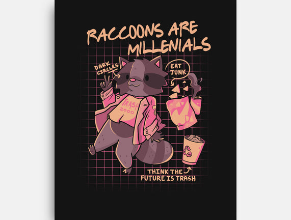 Raccons Millenials