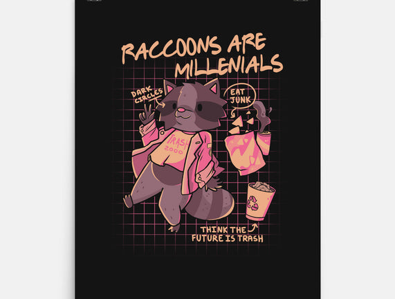 Raccons Millenials