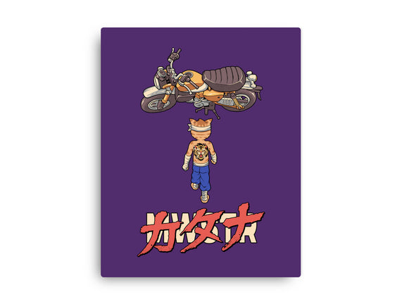 Neo Biker Catana