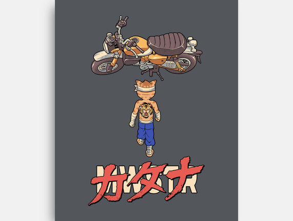 Neo Biker Catana