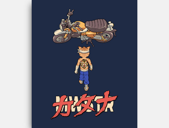Neo Biker Catana