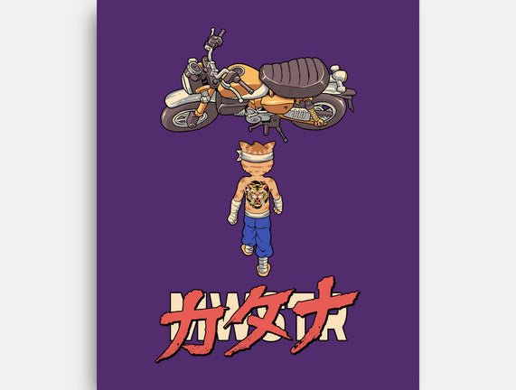 Neo Biker Catana