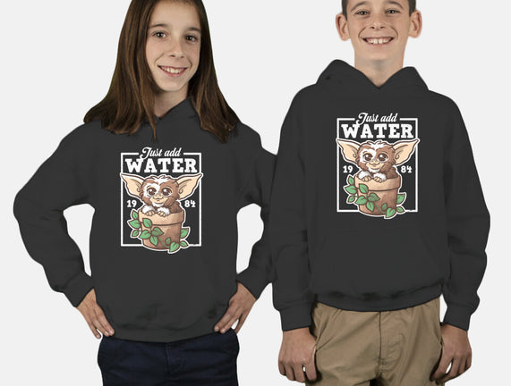 Just Add Water