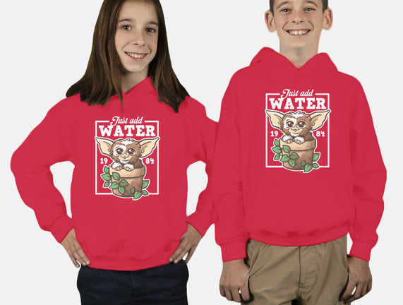 Just Add Water