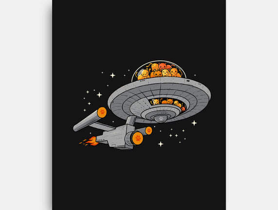 Cat Enterprise
