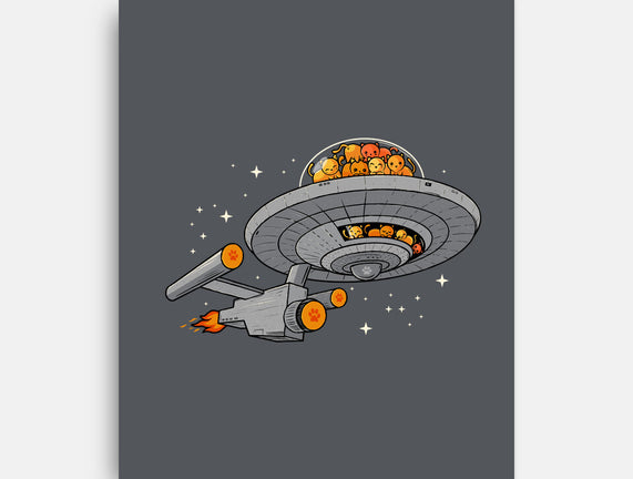 Cat Enterprise