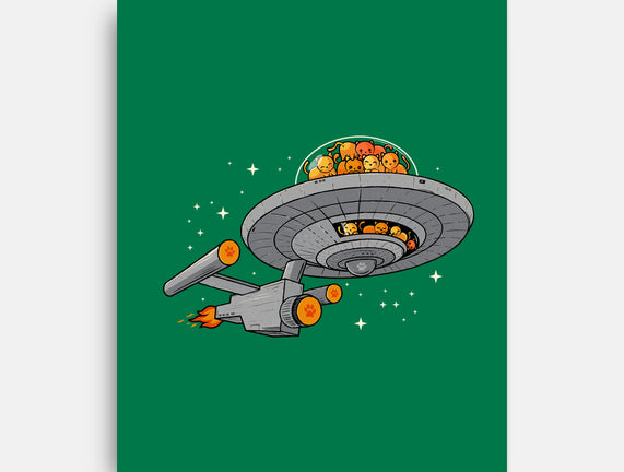 Cat Enterprise