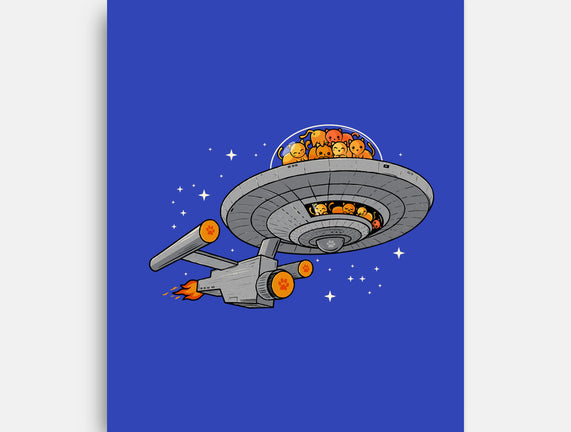 Cat Enterprise