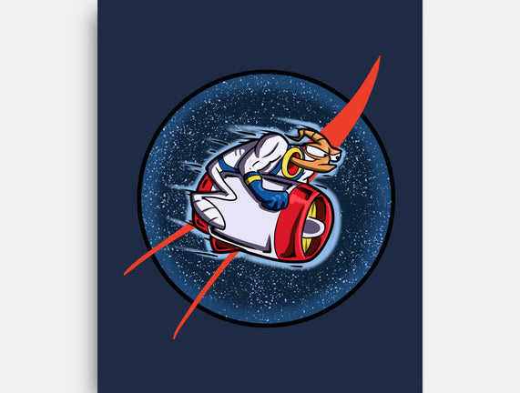 Worm In Space