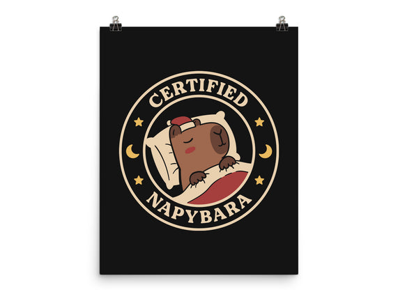 Certified Napybara