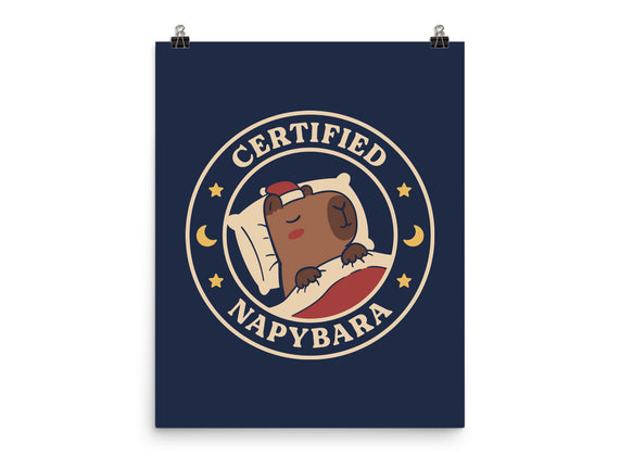 Certified Napybara