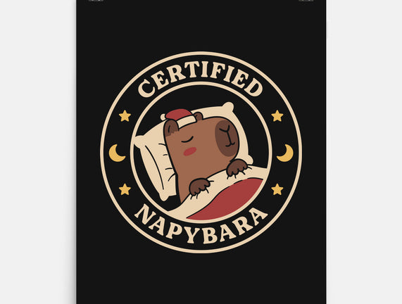 Certified Napybara