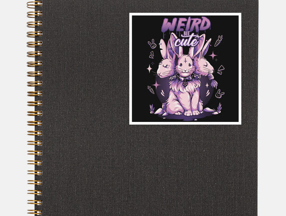 Weird But Cute Bunnies