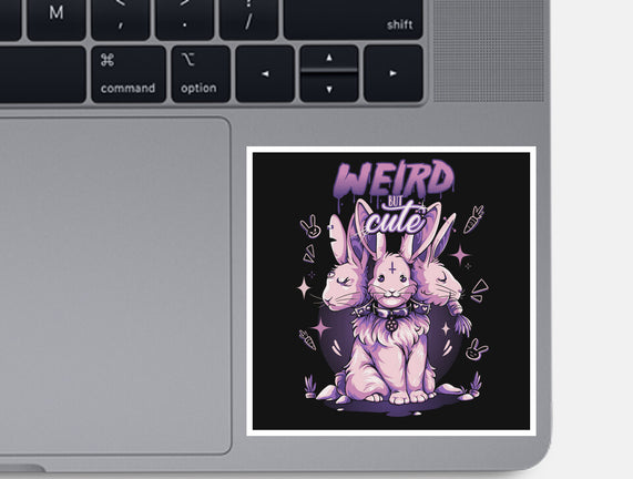 Weird But Cute Bunnies