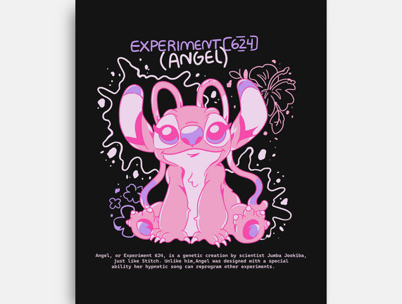 Pink Experiment
