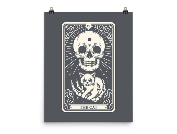 The Cat Tarot Skull