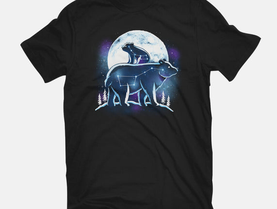 Ursa Constellation