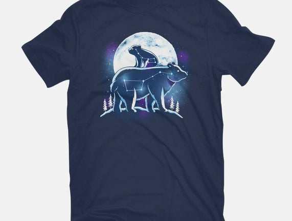 Ursa Constellation