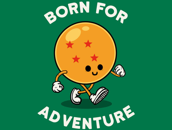 Born For Adventure