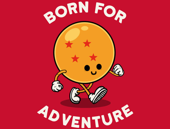 Born For Adventure