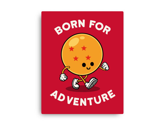Born For Adventure