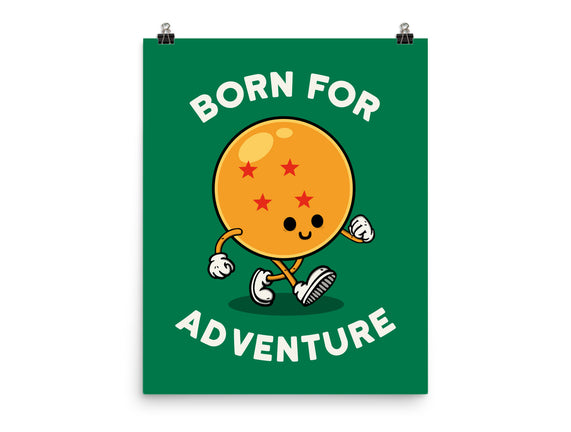 Born For Adventure