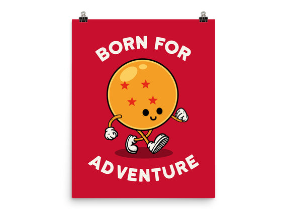 Born For Adventure
