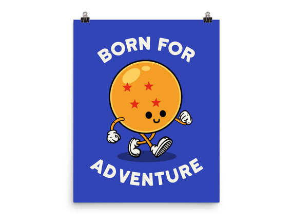 Born For Adventure