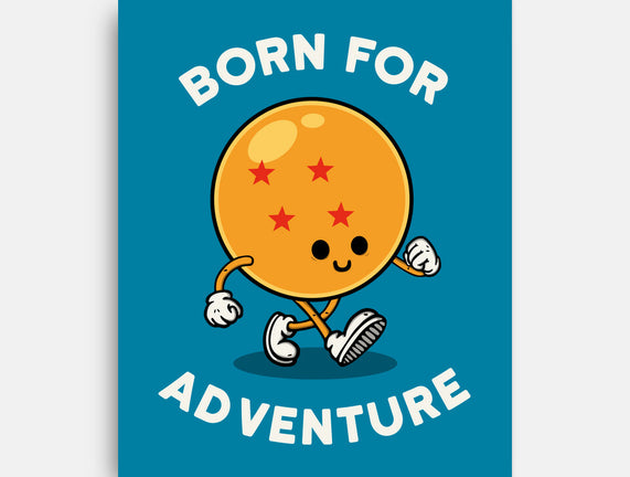Born For Adventure