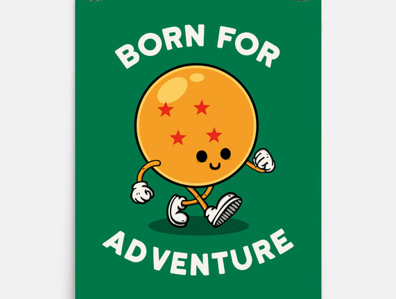 Born For Adventure