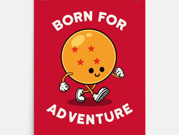 Born For Adventure