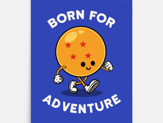 Born For Adventure