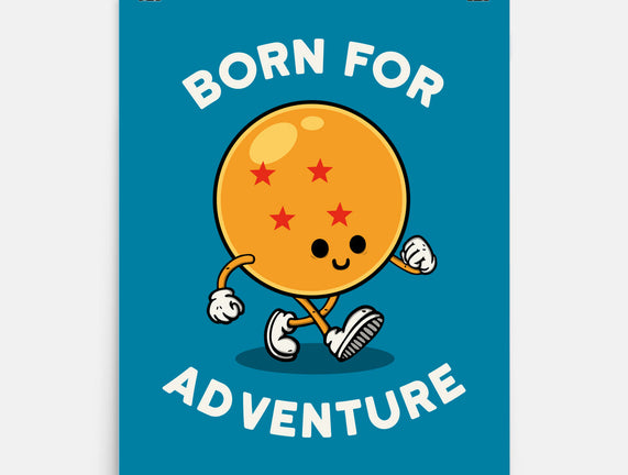 Born For Adventure