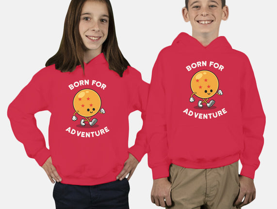 Born For Adventure
