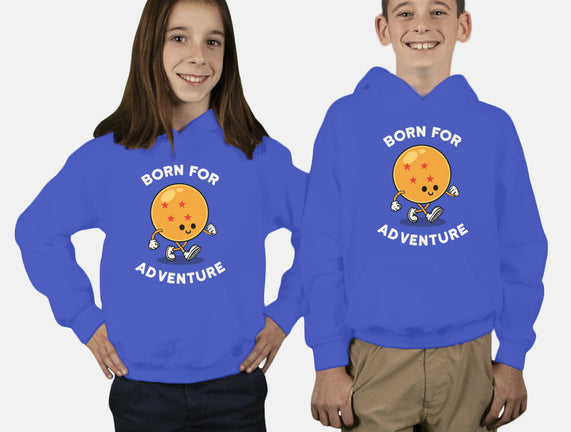 Born For Adventure
