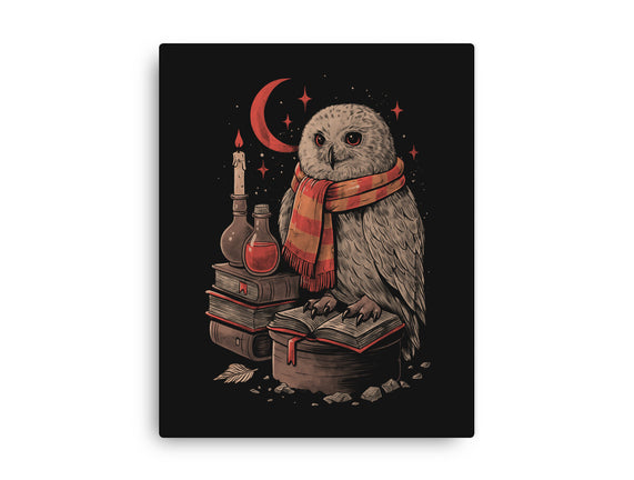 Mystic Owl