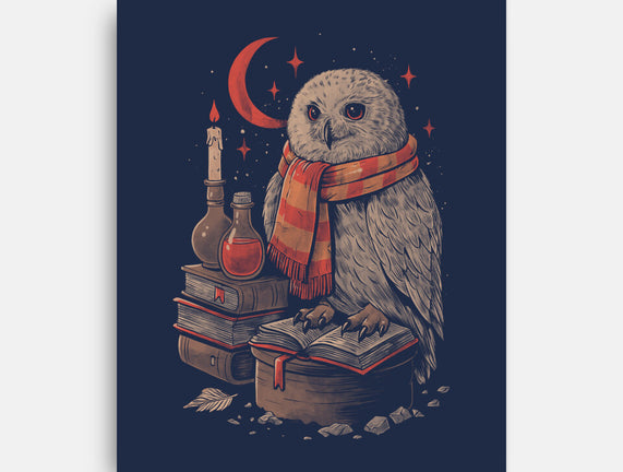 Mystic Owl
