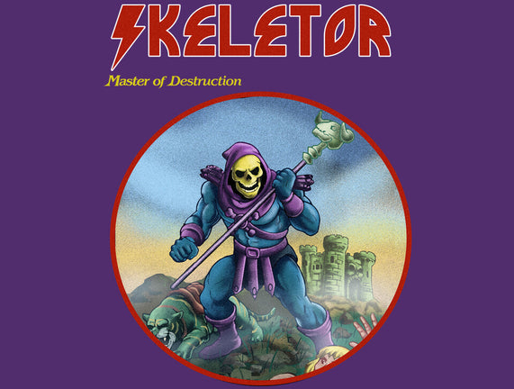 Skeletor Master Of Destruction