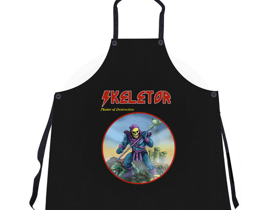Skeletor Master Of Destruction