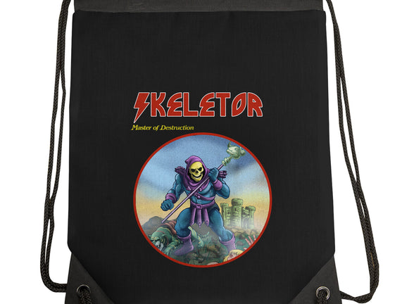Skeletor Master Of Destruction