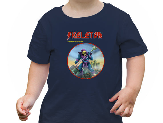 Skeletor Master Of Destruction