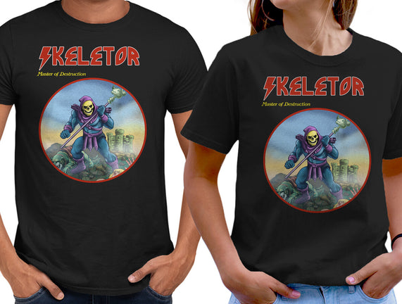 Skeletor Master Of Destruction