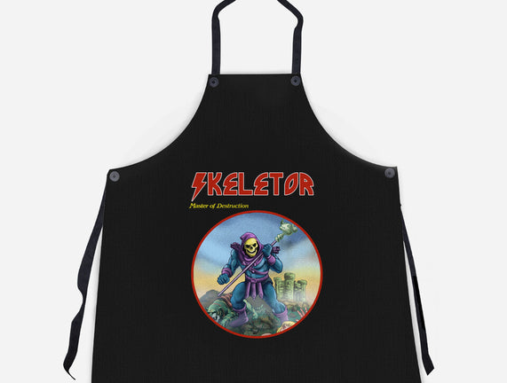 Skeletor Master Of Destruction