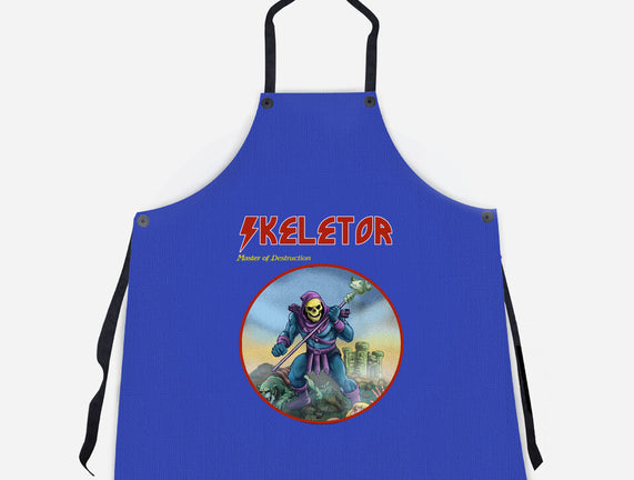 Skeletor Master Of Destruction