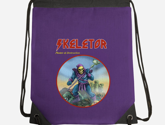 Skeletor Master Of Destruction